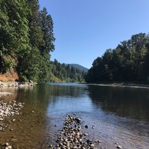 Meet your Posher, Lily